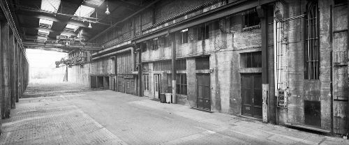 Bild: AP Digital - Brownfield - 150g Vlies (4 x 2.67 m)