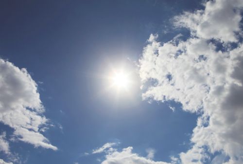 Bild: AP Digital - In The Heat - 150g Vlies (4 x 2.7 m)