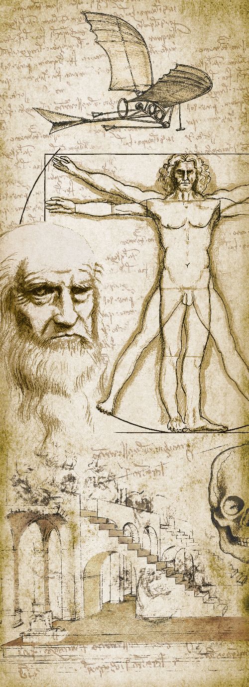 Bild: AP Panel - Leonardo