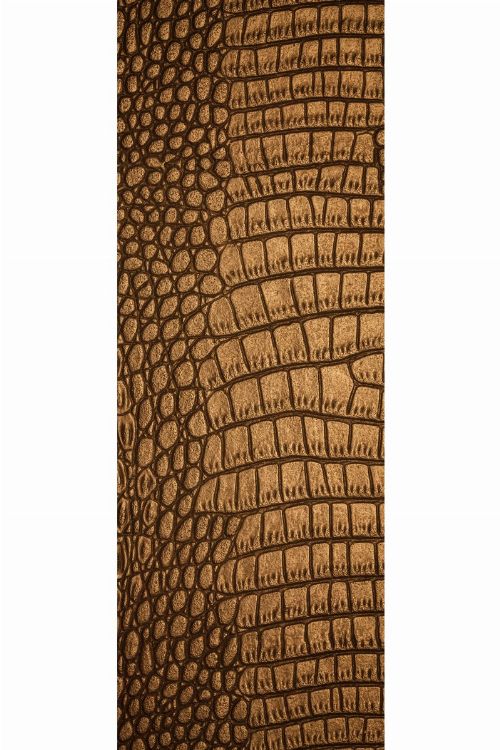 Bild: AP Panel - Skin kroko