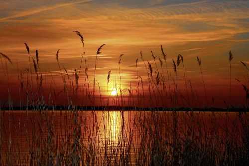Thumbnail: AP XXL2 - Sunset At The Lake - 150g Vlies (3 x 2.5 m)