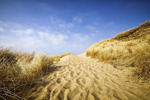 Bild: AP XXL2 - Sylt Beach - 150g Vlies (3 x 2.5 m)