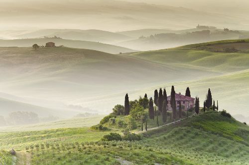 Bild: AP XXL2 - Toscana Morning - 150g Vlies