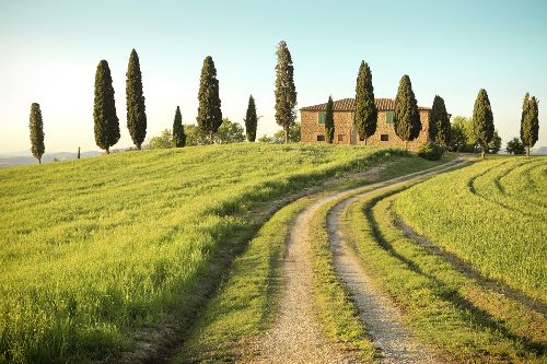 Bild: AP XXL2 - Toscana Summer - 150g Vlies (2 x 1.33 m)