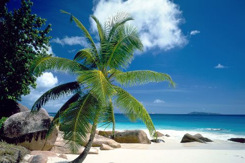 Bild: AP XXL2 - Beach - 150g Vlies (5 x 3.33 m)