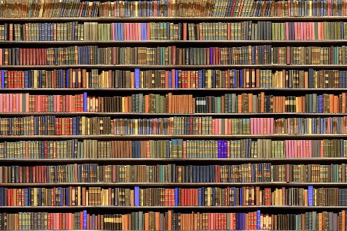 Bild: AP XXL2 - Bookcase - 150g Vlies (5 x 3.33 m)