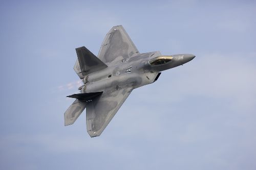 Bild: AP XXL2 - F22 Raptor - 150g Vlies