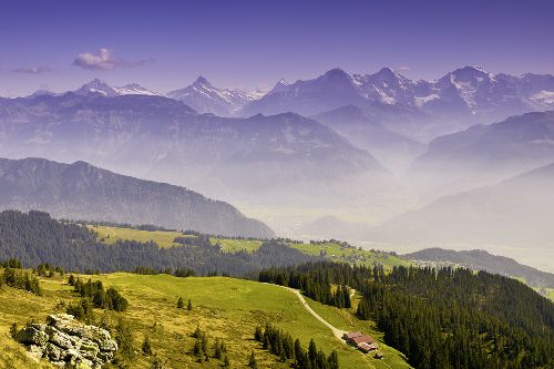 Bild: AP XXL2 - Wide View - 150g Vlies (5 x 3.33 m)