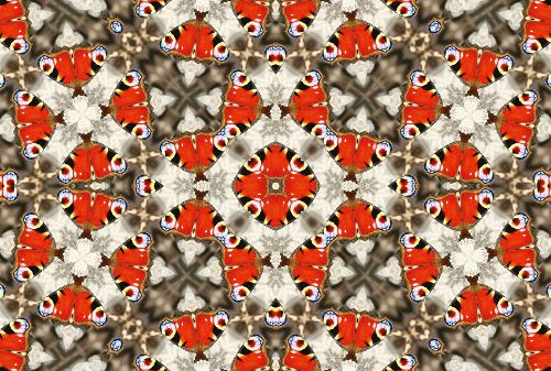 Bild: AP Digital - Flying Peacock - SK Folie (2 x 1.33 m)