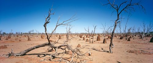 Bild: AP Digital - Outback - SK Folie (3 x 2.5 m)