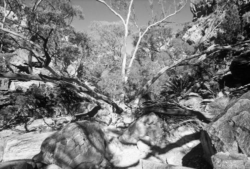 Bild: AP Digital - Rock Island - SK Folie (5 x 3.33 m)
