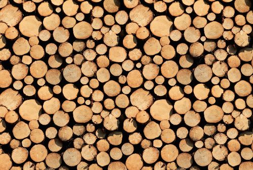 Bild: AP Digital - Stock Of Wood - SK Folie (5 x 3.33 m)