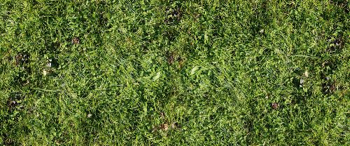 Bild: AP Digital - Simple Green - SK Folie (4 x 2.67 m)