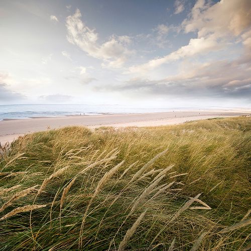 Bild: AP Digital - Sylt - SK Folie