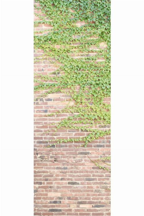 Bild: AP Panel - In touch, SK-Folie