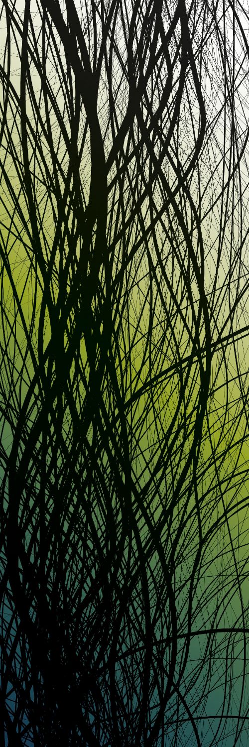 Bild: AP Panel - Underwater green, SK-Folie (Grün)