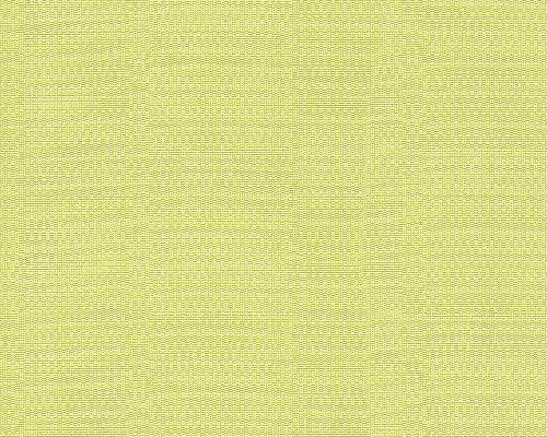 Bild: Esprit 10 958307 (Grün)
