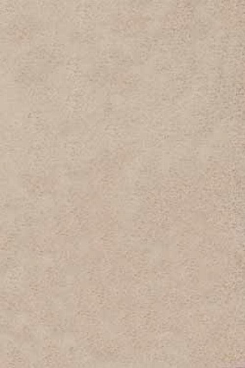 Bild: Hochflor Teppich Shaggy (Beige)