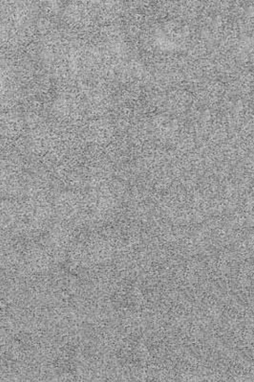 Bild: Hochflor Teppich Shaggy (Grau)