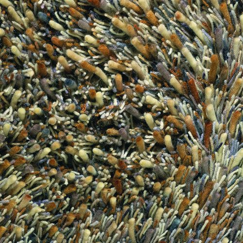 Bild: Teppich Spring (Braun; 200 x 300 cm)