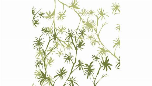 Bild: DM201-1 Branches 270*265