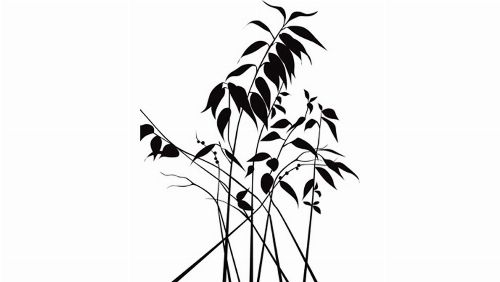Bild: DM208-2 Leaves 180*265