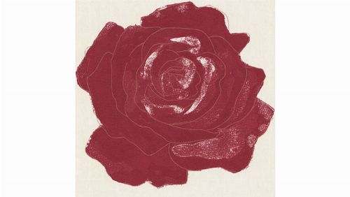 Bild: DM212-1 Rose 90*90