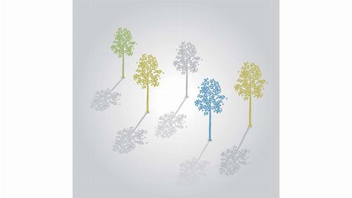 Bild: DM214-1 Sunny woods 270*265