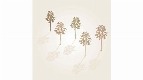 Bild: DM214-2 Sunny woods 270*265