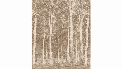 Bild: DM216-1 Woods 270*265