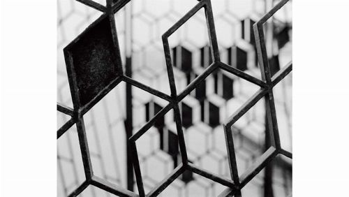Bild: DM306-1 Fence 315*265