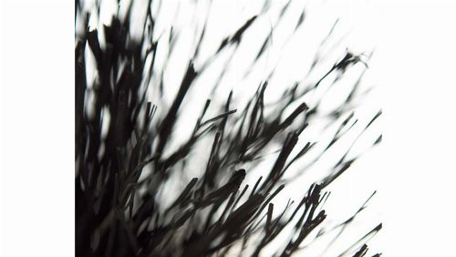 Bild: DM315-1 Straws 315*265