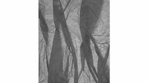 Bild: DM320-2 Silk 225*265