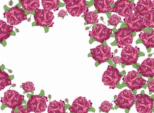 Bild: P0103018 Rose garden 360*265