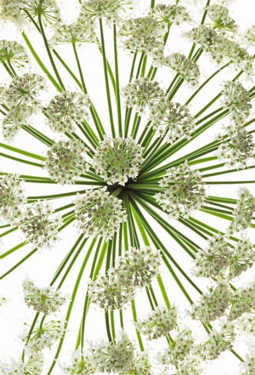 Bild: P0215014 More is m. 180*265