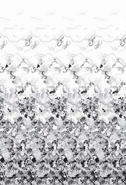 Bild: P0323034 Parrot 180*265