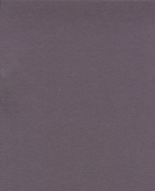 Bild: Eijffinger edle Unitapete Stripes+ 377179 (Lila)