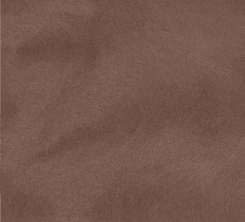 Bild: Visions Vliestapete 53314