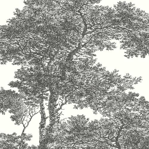 Bild: Passepartout Wandbild 606898 - Blätterwald