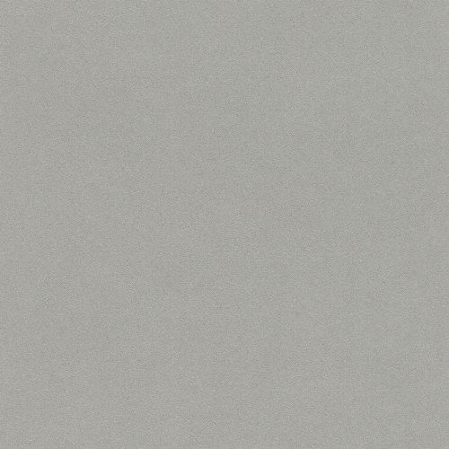 Bild: Passepartout Vliestapete Uni - 607253 (Grau)