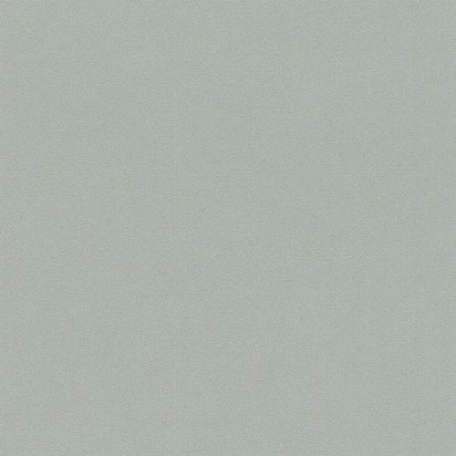 Bild: Passepartout Vliestapete Uni - 607260 (Taupe)