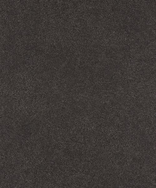 Bild: Barbara Becker Roots Uni Tapete - b.b. VI 860160 by Rasch (Schwarz)