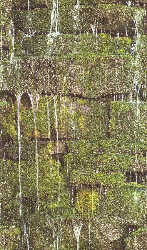 Bild: Barbara Becker Roots Wasserfall Tapete - b.b. VI 861303 by Rasch (Grün)