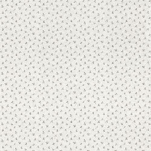 Bild: Rasch Textil Tapete 288659 Petite Fleur 4 - Blättermotiv (Weiß/Grau)
