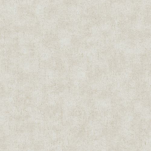 Bild: Accent - ACE65211032 Tapete: Beton Optik (Hellbeige)