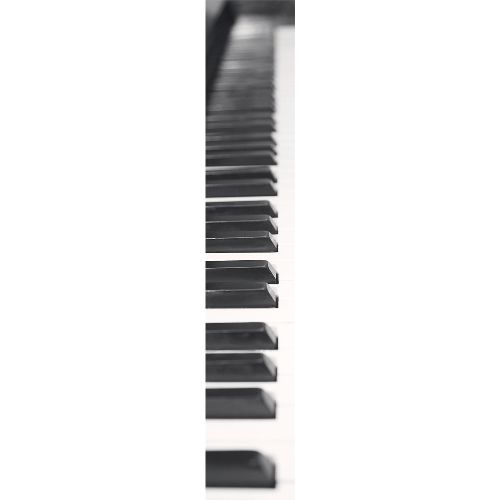 Bild: Accent - ACE67189114 - Duplex Panel: Klavier