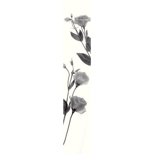 Bild: Accent - ACE67189300 - Duplex Panel: Noemie