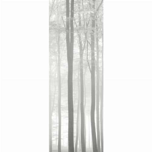 Bild: LEGENDS - Wandbild LGD63547000: Wald