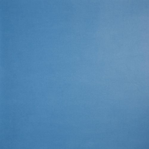 Bild: ONLY BOYS - Tapete OLB59656512: Uni (Blau 1)