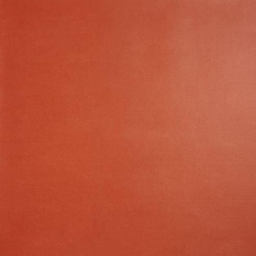 Bild: ONLY BOYS - Tapete OLB59658000: Uni (Rot)